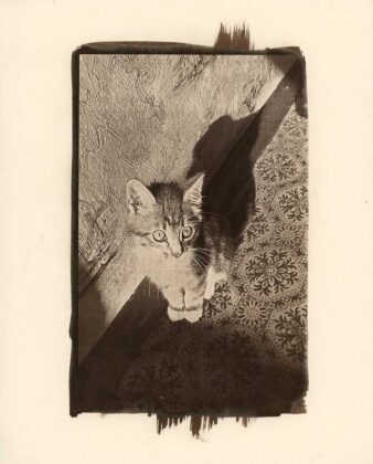 Авторка Юлія Слаутська