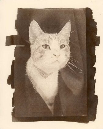 Авторка Марія Ілинич