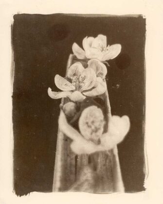 Авторка Юлія Васількова