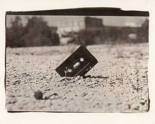 Авторка Лілія Пацалюк