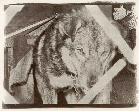 Авторка Анастасія Сподарик