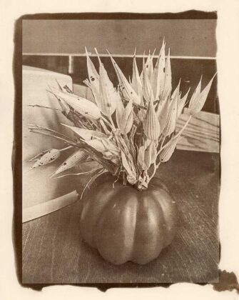 Авторка Галина Ворона