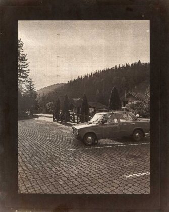 Авторка Тетяна Медведенко