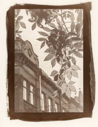 Авторка Ангеліна Мазур