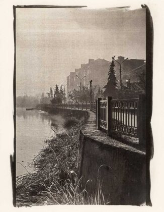 Авторка Діана Лагіш