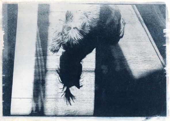 Авторка Анастасія Сподарик