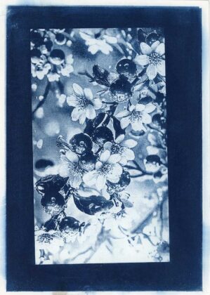 Авторка Софія Кудряшова