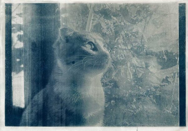 Авторка Варвара Онищенко