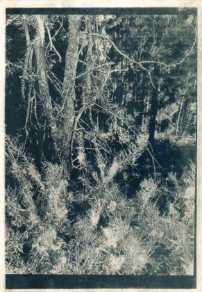 Авторка Богдана Кисельчук