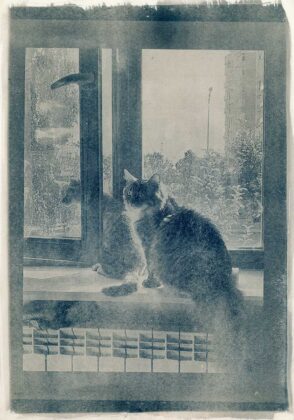 Авторка Катерина Належита