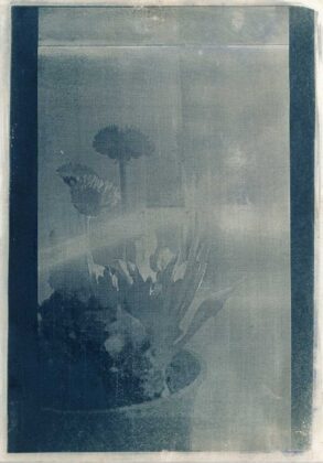 Авторка Дарія Брит