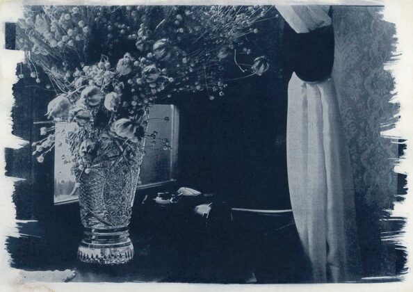 Авторка Ангеліна Мазур