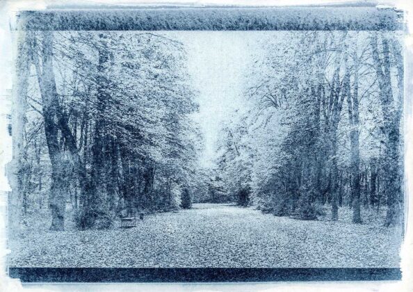 Авторка Катерина Андрущенко