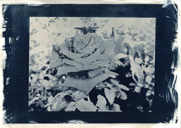 Авторка Крістіна Гайчене