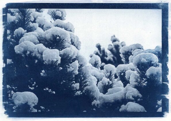 Авторка Марія Коробка