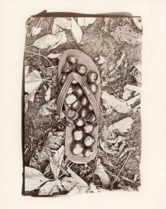 Авторка Анастасія Сподарик